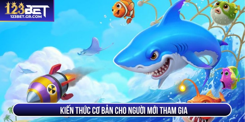 Kiến thức cơ bản cho người mới tham gia