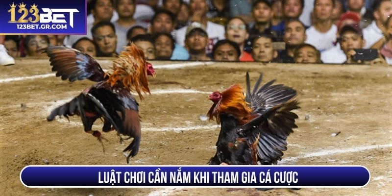 Luật chơi cần nắm khi tham gia cá cược