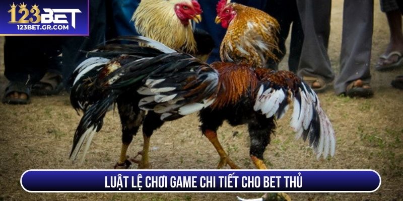 Luật lệ chơi game chi tiết cho bet thủ