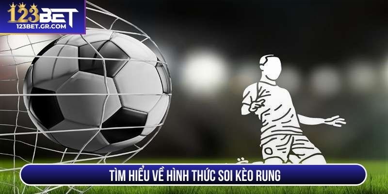 Tìm hiểu về hình thức soi kèo rung 
